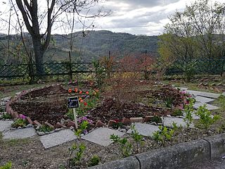 Due immagini simbolo della rinnovata qualità del vivere nella residenza protetta Beato Sante di Mombaroccio: un artistico giardino e l'orto dei sapori, curati con la collaborazione degli ospiti della casa.